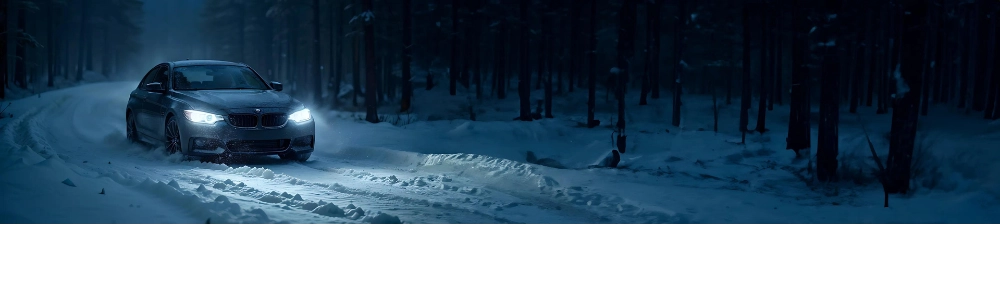 Alufelgen im Winter fahren BMW fährt im Wald im Schnee